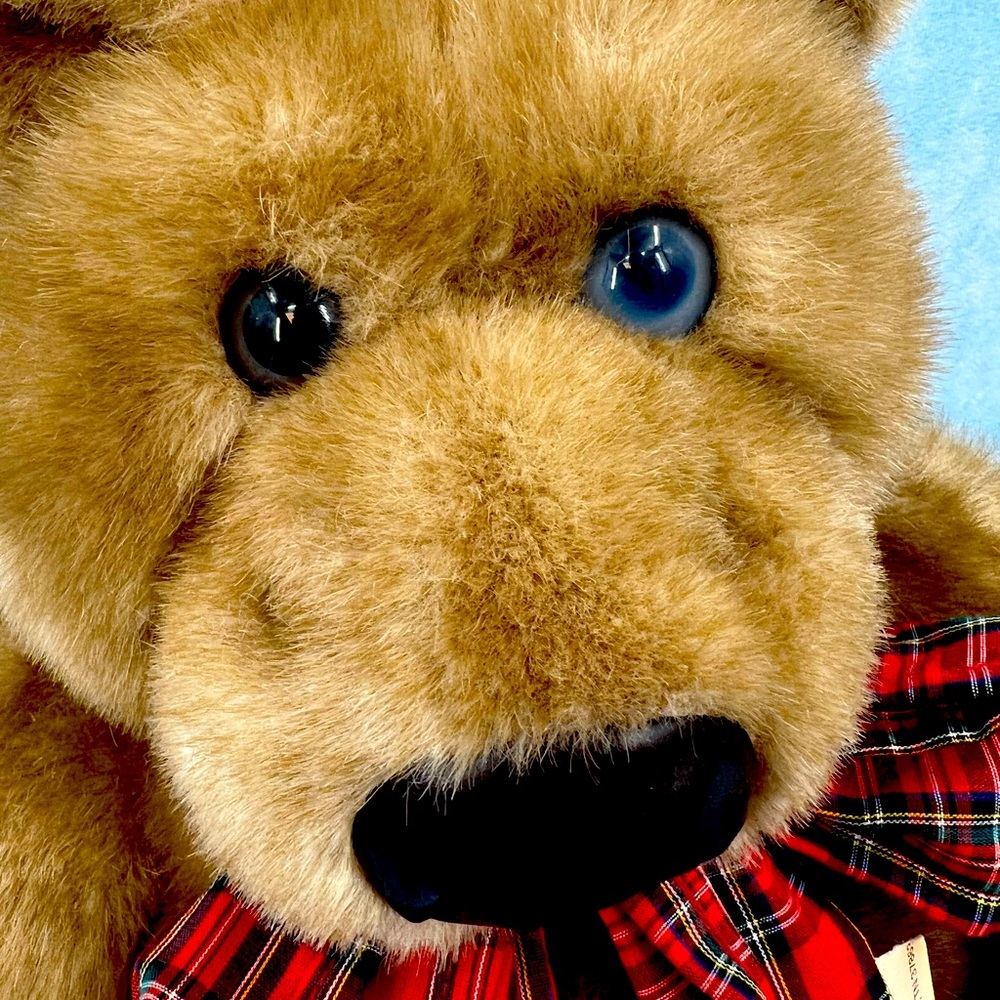 Vintage Collectible Bear